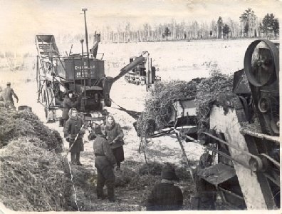 Колхоз