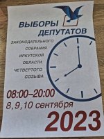 Выборы депутатов 