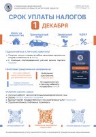 Срок уплаты налогов - 1 декабря!