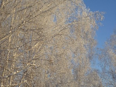 Калтук