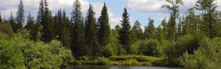 Природа родного края